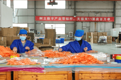 天貓雙11開門紅 產(chǎn)業(yè)帶爆發(fā)式增長，7個(gè)產(chǎn)地首小時(shí)銷售額破億，日用百貨引領(lǐng)消費(fèi)熱潮