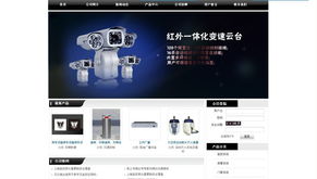 電子科技公司網站建設 從開發到運維的全方位技術服務指南